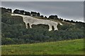 SE5181 : Kilburn White Horse by Michael Garlick