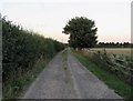 Track towards A46 from Fields Farm