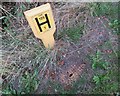 SK6820 : Fire hydrant at Shoby turn off on A6006 by Andrew Tatlow