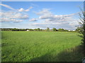 Over  fields  to  Redhill  Farm