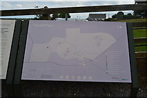 N9259 : Map of the Hill of Tara by N Chadwick