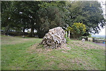 N9259 : Ruined wall, Hill of Tara by N Chadwick