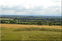 N9159 : Looking south west from Royal Seat by N Chadwick