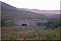 NO4191 : Bridge in Glen Tanar by Richard Webb