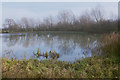 Silt bed, Harrold-Odell Country Park, 1988