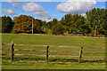 Fenced paddock at Tytherington