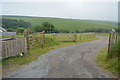 Track, Whitley Farm