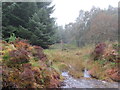 NH4198 : Fencing in forest break north of Cnoc nan Con track above Strathoykel by ian shiell