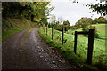 Lane to farm, Carryclogher