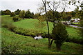 Carryclogher Townland