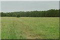 Greensand Ridge Walk near Woburn Deer Park, 1989