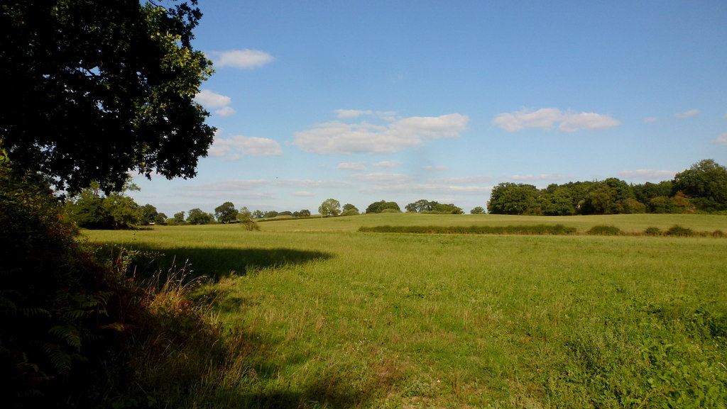 Pasture and woodland, 1 © Jonathan Billinger :: Geograph Britain and ...