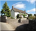 Thatched cottage, Holditch