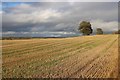 Stubble at South Kinkell