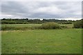 O0272 : Boyne pasture by N Chadwick