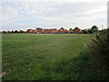 Kneesall: Elm Tree Close and fields