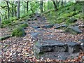 SK2579 : Stepped path in Padley Gorge by Graham Hogg