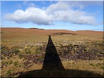 NC7957 : Edge of Strathy North Forest in Shadow of Wind Turbine by Chris and Meg Mellish