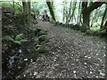 Path through woods south of Horselake