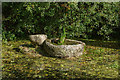 Pond at Shaptor Farm