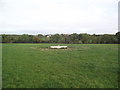 Looking over fields to Houghton Lodge Farm