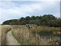 Cows by the nature reserve