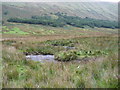 NY4315 : Rampsgill Beck, in Ramps Gill by Christine Johnstone