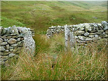 NY4314 : South entrance / exit, complex restored sheepfold, Ramps Gill by Christine Johnstone