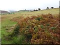 View to Castell Dinas