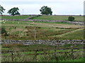 Farmland alongside Heltondale Beck