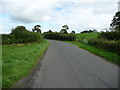 The road from Crosby Ravensworth to Maulds Meaburn