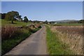 Yellow road, Coatston