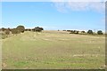 Arable land between Cleadon and Whitburn