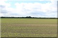 NZ3860 : Arable field on Whitburn Moor by Graham Robson
