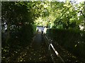 Footpath to Terrace Road