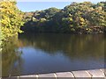 Mosshouse Wood Reservoir