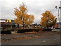 Colourful trees, McDonald