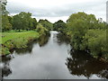 NY7613 : The River Eden, from Musgrave Bridge by Christine Johnstone