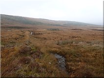 NC7413 : Old Boundary and Sheepfold at Bad an t-Sean-tighe by Chris and Meg Mellish