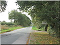  : Road to East Cottingwith at Boundary Farm by John Slater