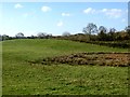 N5075 : Field at Tonashammer by Oliver Dixon