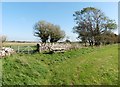 Picnic bench on the West Mendip Way