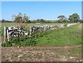 Dry stone wall