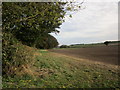 Field edge near Middledale