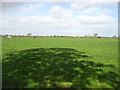 Farmland near Seaville