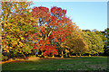 Autumn colours in Muchall Park, Wolverhampton