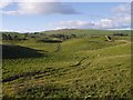 Hummocky terrain, Blackstairs