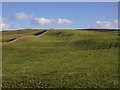 Fields above Blackstairs