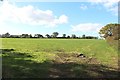 Field off Brampton Old Road, Carlisle