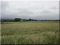 View towards Alloa from the bank of the River Forth